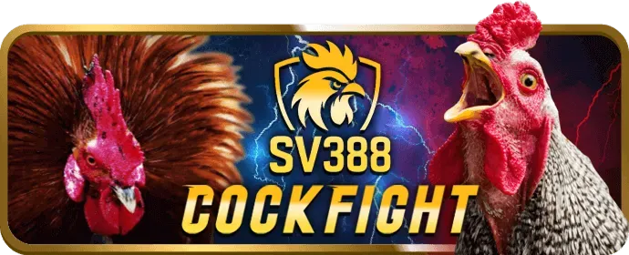 Hướng dẫn trò chơi bắn cá u888b casino